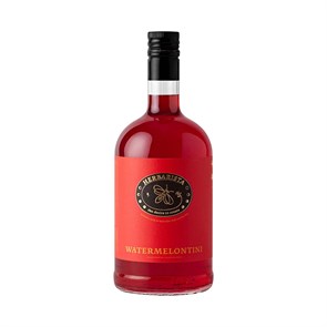 Сироп HERBARISTA Watermelontini (Арбуз) 700мл 004117
